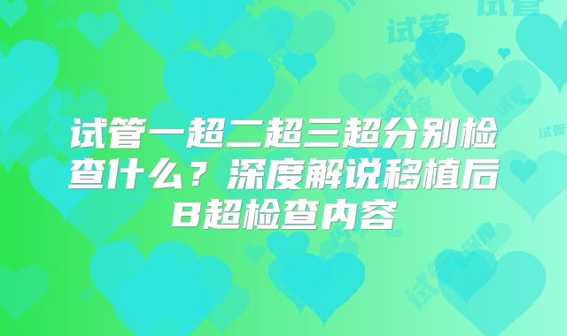 试管一超二超三超分别检查什么？深度解说移植后B超检查内容
