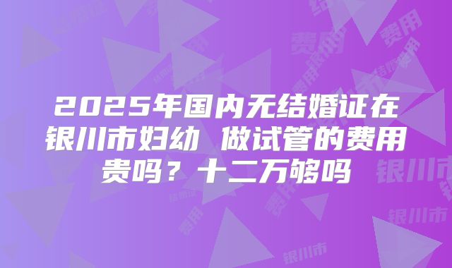 2025年国内无结婚证在银川市妇幼 做试管的费用贵吗？十二万够吗