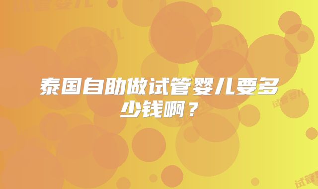 泰国自助做试管婴儿要多少钱啊？