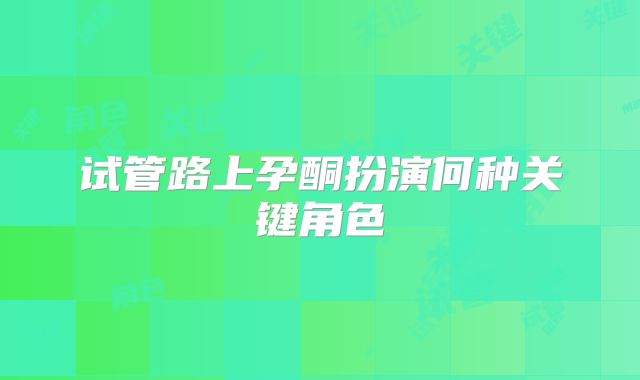 试管路上孕酮扮演何种关键角色