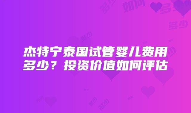 杰特宁泰国试管婴儿费用多少？投资价值如何评估