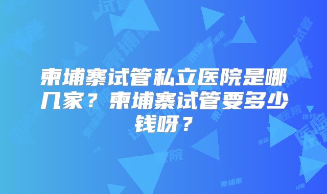 柬埔寨试管私立医院是哪几家?柬埔寨试管要多少钱呀?