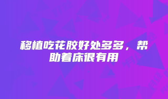 移植吃花胶好处多多，帮助着床很有用