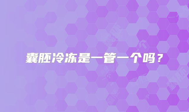 囊胚冷冻是一管一个吗?