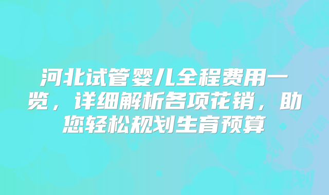 河北试管婴儿全程费用一览,详细解析各项花销,助您轻松规划生育预算