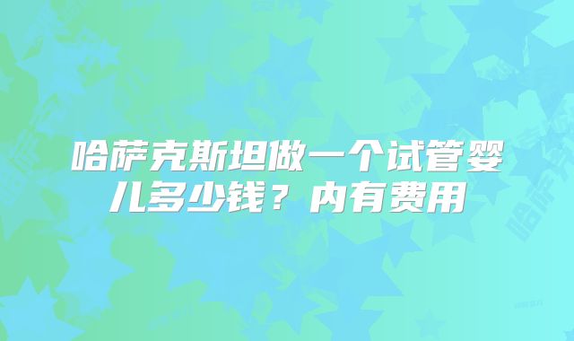 哈萨克斯坦做一个试管婴儿多少钱？内有费用