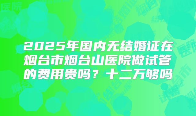 2025年国内无结婚证在烟台市烟台山医院做试管的费用贵吗？十二万够吗