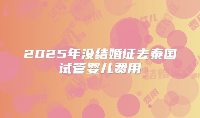 2025年没结婚证去泰国试管婴儿费用