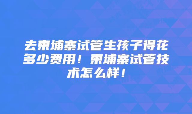 去柬埔寨试管生孩子得花多少费用!柬埔寨试管技术怎么样!