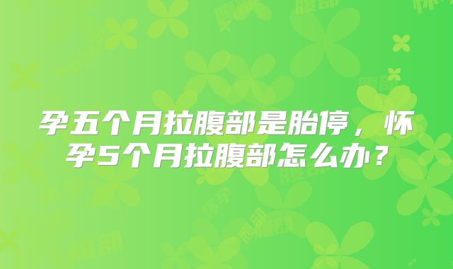 孕五个月拉腹部是胎停，怀孕5个月拉腹部怎么办？