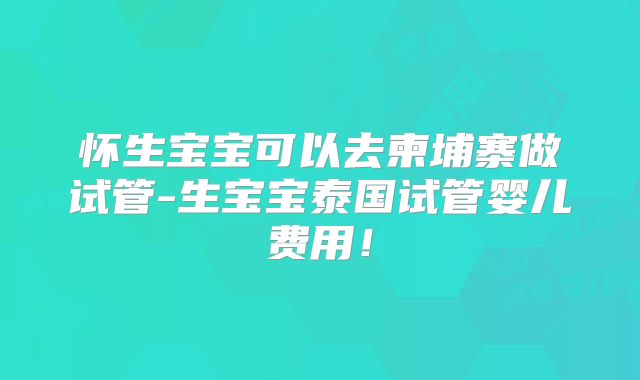 怀生宝宝可以去柬埔寨做试管-生宝宝泰国试管婴儿费用！