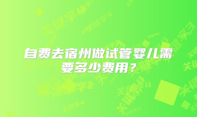 自费去宿州做试管婴儿需要多少费用？