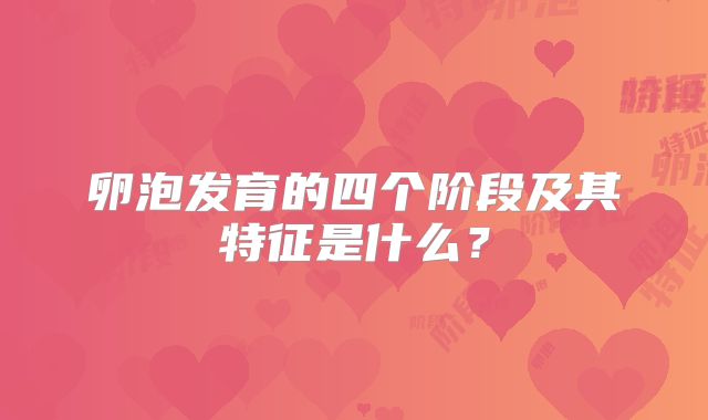 卵泡发育的四个阶段及其特征是什么？