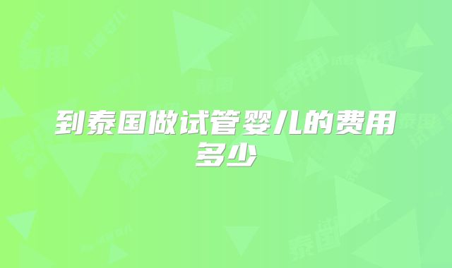 到泰国做试管婴儿的费用多少