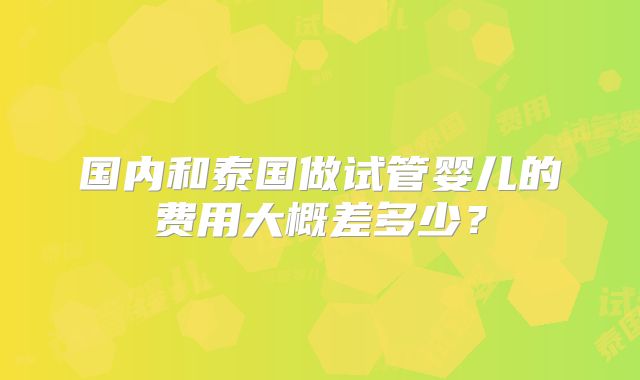 国内和泰国做试管婴儿的费用大概差多少？