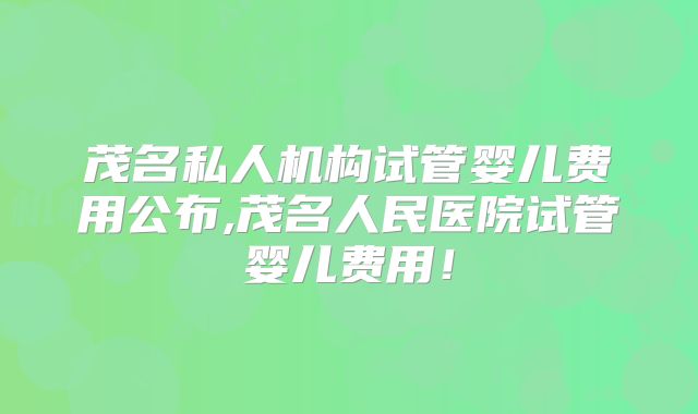 茂名私人机构试管婴儿费用公布,茂名人民医院试管婴儿费用！
