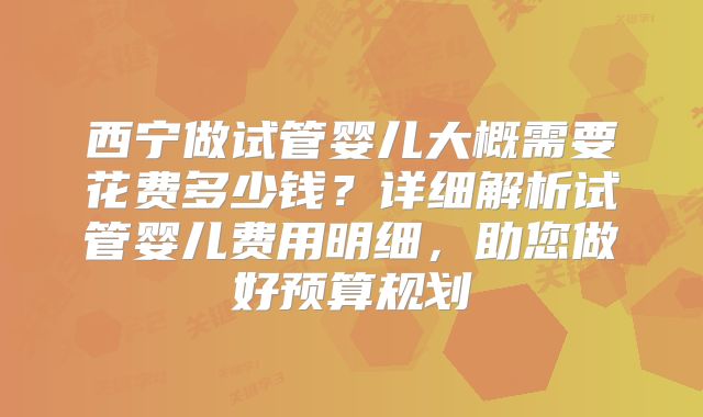 西宁做试管婴儿大概需要花费多少钱？详细解析试管婴儿费用明细，助您做好预算规划