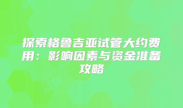 探索格鲁吉亚试管大约费用:影响因素与资金准备攻略