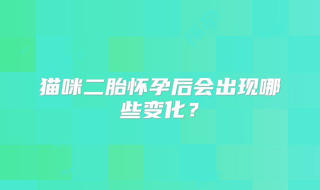 猫咪二胎怀孕后会出现哪些变化?