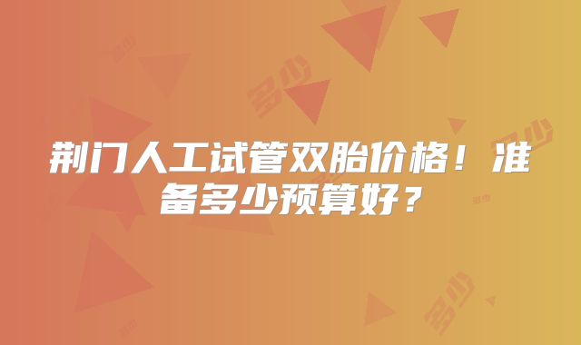 荆门人工试管双胎价格！准备多少预算好？