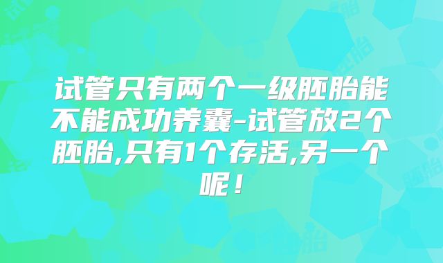 试管只有两个一级胚胎能不能成功养囊-试管放2个胚胎,只有1个存活,另一个呢！