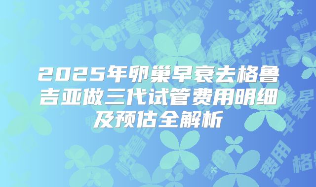2025年卵巢早衰去格鲁吉亚做三代试管费用明细及预估全解析