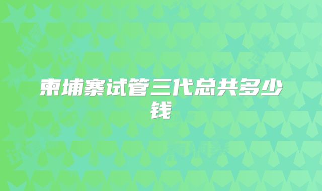 柬埔寨试管三代总共多少钱