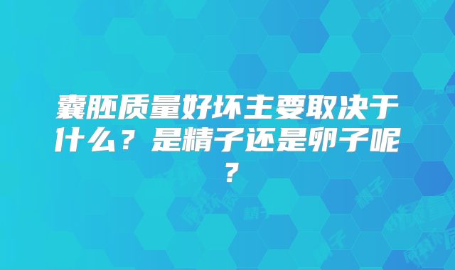 囊胚质量好坏主要取决于什么?是精子还是卵子呢?