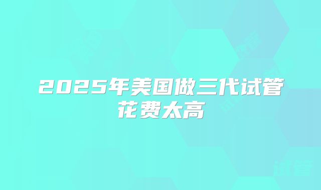 2025年美国做三代试管花费太高