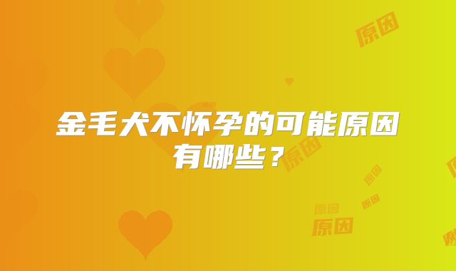金毛犬不怀孕的可能原因有哪些?