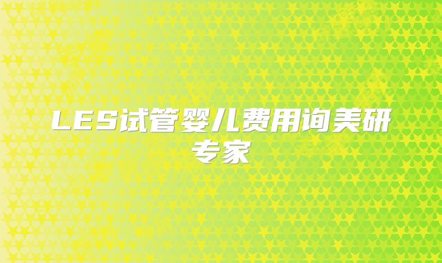 LES试管婴儿费用询美研专家