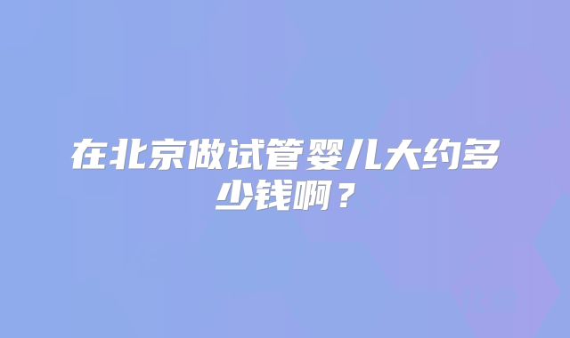 在北京做试管婴儿大约多少钱啊？