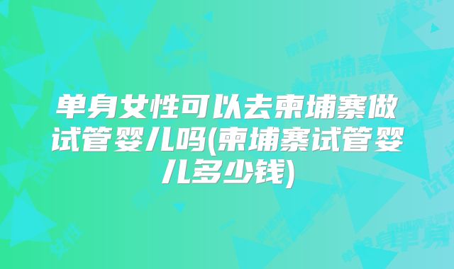 单身女性可以去柬埔寨做试管婴儿吗(柬埔寨试管婴儿多少钱)