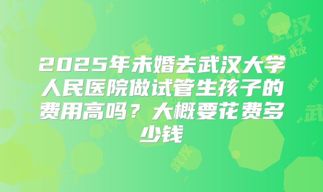 2025年未婚去武汉大学人民医院做试管生孩子的费用高吗?大概要花费多少钱