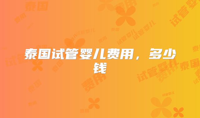 泰国试管婴儿费用，多少钱