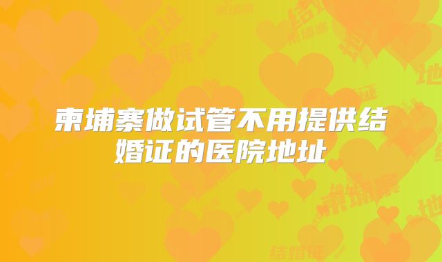 柬埔寨做试管不用提供结婚证的医院地址