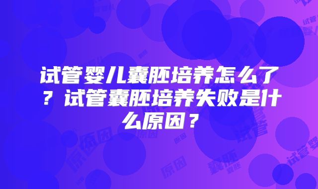 试管婴儿囊胚培养怎么了？试管囊胚培养失败是什么原因？