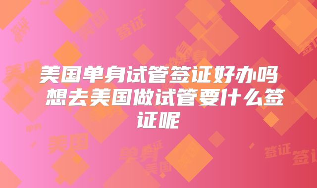 美国单身试管签证好办吗 想去美国做试管要什么签证呢