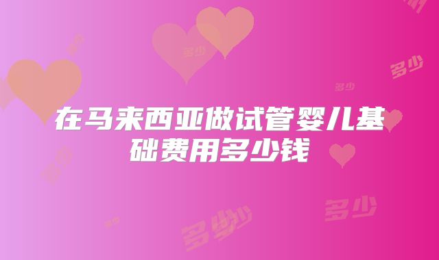 在马来西亚做试管婴儿基础费用多少钱