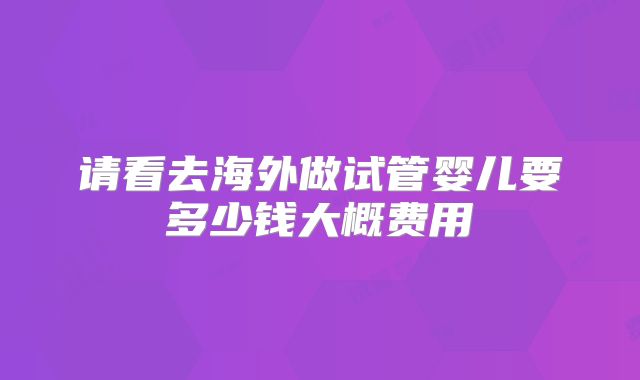 请看去海外做试管婴儿要多少钱大概费用