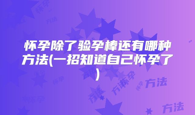 怀孕除了验孕棒还有哪种方法(一招知道自己怀孕了)