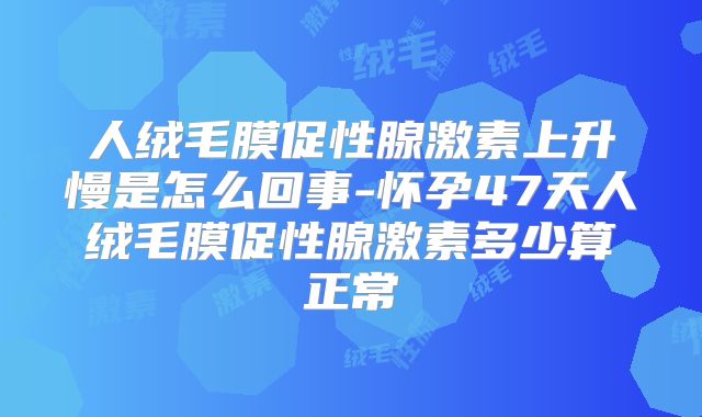人绒毛膜促性腺激素上升慢是怎么回事-怀孕47天人绒毛膜促性腺激素多少算正常