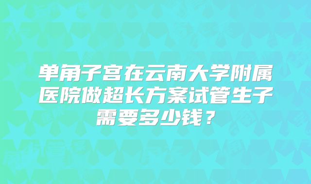 单角子宫在云南大学附属医院做超长方案试管生子需要多少钱？