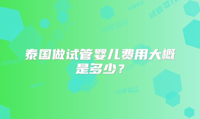 泰国做试管婴儿费用大概是多少?