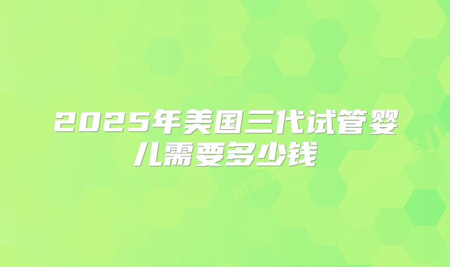 2025年美国三代试管婴儿需要多少钱