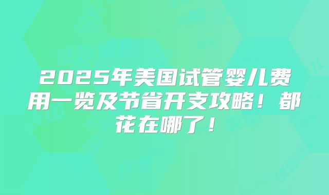 2025年美国试管婴儿费用一览及节省开支攻略!都花在哪了!