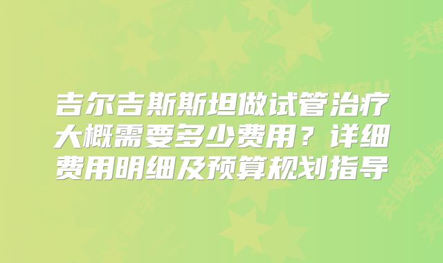 吉尔吉斯斯坦做试管治疗大概需要多少费用？详细费用明细及预算规划指导