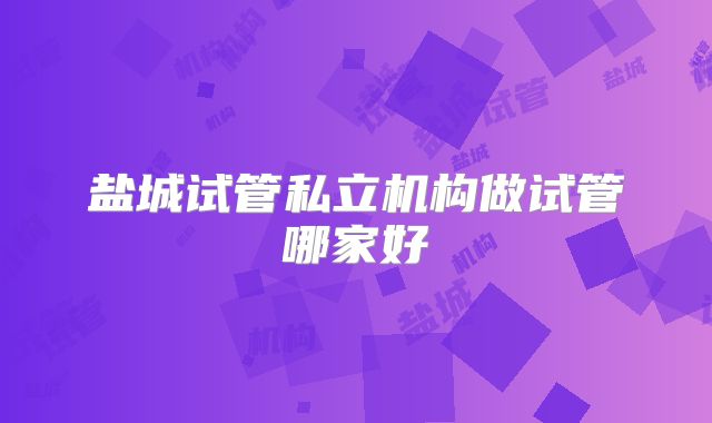 盐城试管私立机构做试管哪家好
