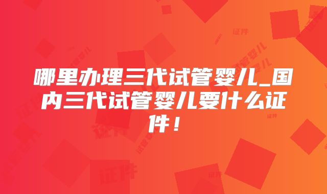 哪里办理三代试管婴儿_国内三代试管婴儿要什么证件!
