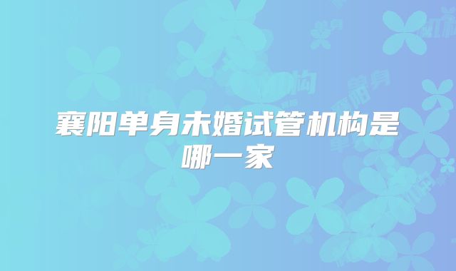 襄阳单身未婚试管机构是哪一家